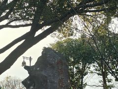-普陀山风景名胜区-法雨禅寺