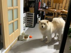 -肆兮眼镜·蔡司·徕卡战略合作店(大坪店)