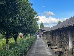 -乌石村
