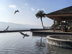 -昆明柏联SPA温泉