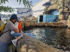 -秦皇岛乐岛海洋王国