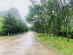 -肯德基(秦岭服务区店)