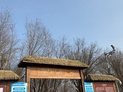 -西青郊野公园