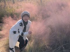 -羊亭河湿地公园