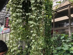 -龙大花卉苗木市场