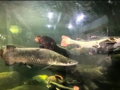 -泉州海丝野生动物世界