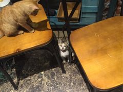 -密讯馆密室逃脱&换装侦探剧(环球港旗舰店)