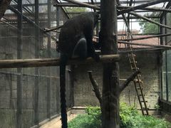 -石家庄市动物园