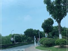 -合肥滨湖国家森林公园