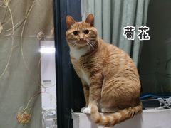 -谐和贝康宠物医院24小时·宠保定点(急重症转诊中心)