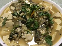 -煲来饱去冷水鱼