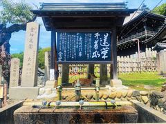 -奈良公园