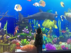 -酷嗒动物文化乐园(cutezoo西溪乐天城店)