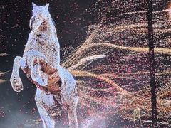 -济南奥林匹克体育中心体育场