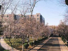 -山东师范大学(千佛山校区)