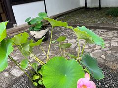 -上海方塔园