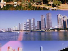 -橘子洲景区