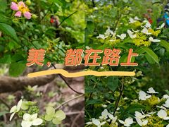 -天姥山