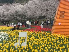 -苏州上方山国家森林公园