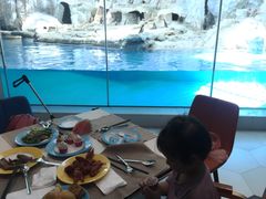 -帝企鹅自助餐厅•儿童岛•真企鹅(长隆企鹅酒店)