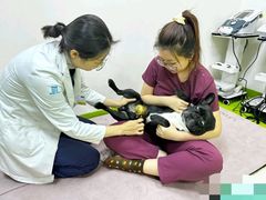 -美联众合动物医院·24h转诊中心