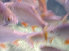 -多彩贵州城极地海洋世界