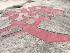 -黄山翡翠谷景区
