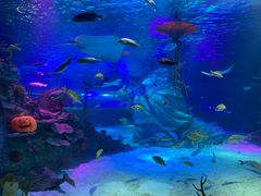 -沈阳海洋探索中心