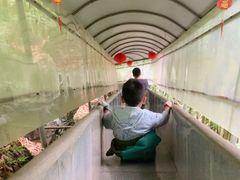 -华蓥山天意谷景区