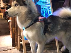 -飘香酒馆·私房菜