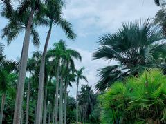 -中国科学院西双版纳热带植物园
