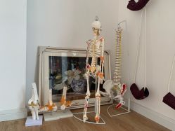 -酉嘉瑜伽YO+YOGA