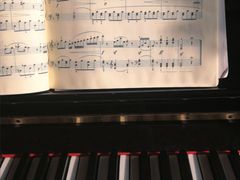 -弘智卉艺术教育/高端琴房(中央音乐学院店)