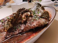 豉汁蒸老虎斑/斤-八府香鸭·啫啫煲(华山路店)