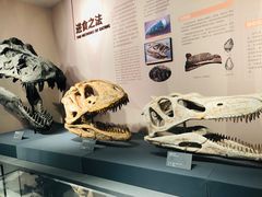 -自贡恐龙博物馆