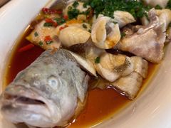 -蓉九•三十年品牌(武陵阁店)