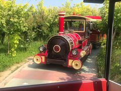 -渔岛海洋度假区