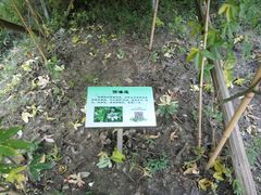 -昆山城市生态森林公园