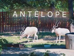 -石家庄市动物园