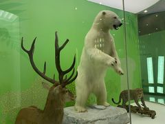 -国家自然博物馆