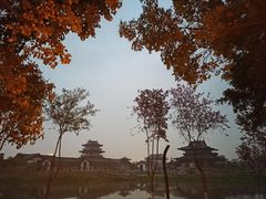-海珠湖公园