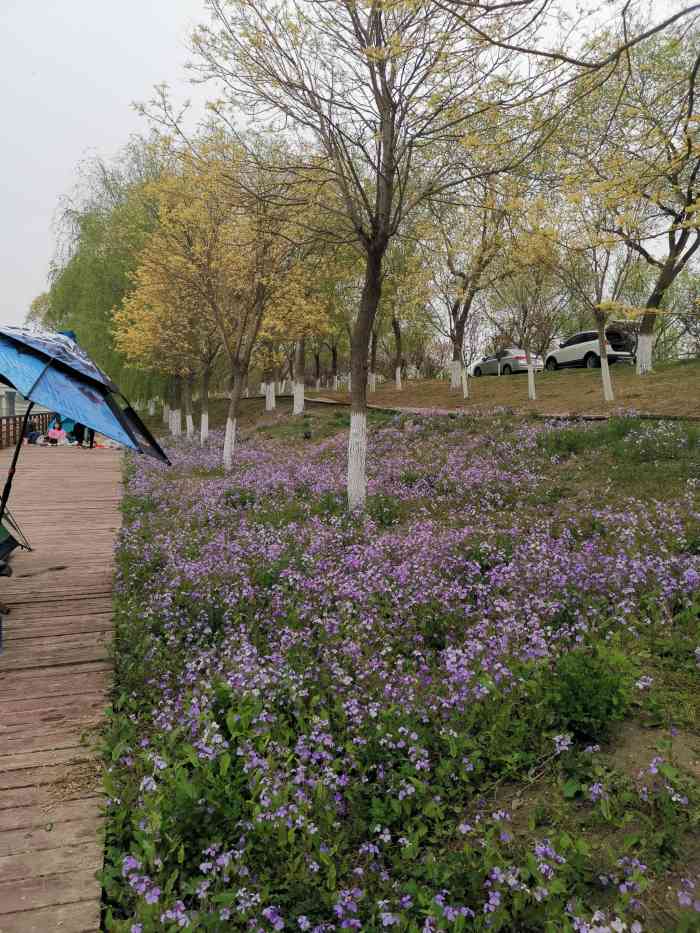 东丽郊野公园