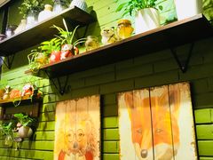 -狐狸家·酸奶酪专门店(平江路店)