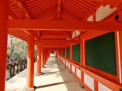 -奈良公园