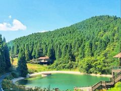 -武陵山森林公园
