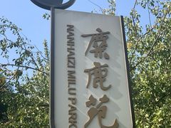 门面-北京麋鹿生态实验中心