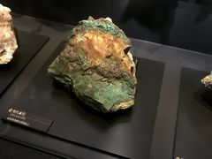 -东京国立博物馆