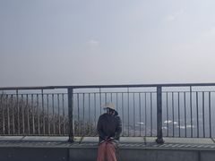 -紫金山山顶公园