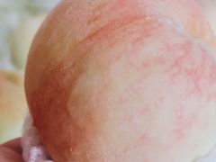 -老袁家蜜桃农场·阳山水蜜桃