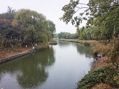 -大兴滨河森林公园